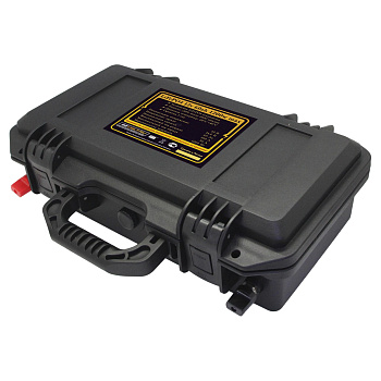 Аккумулятор LiFePO4 12v60Ah 1200w max в кейсе